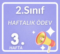 2. SINIF 3. HAFTA DEĞERLENDİRME ÇALIŞMALARI