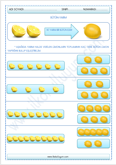 1 Sinif Matematik Kesirler Butun Yarim Ilkokulluyum